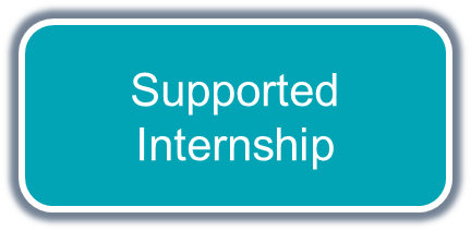 Supported Internship