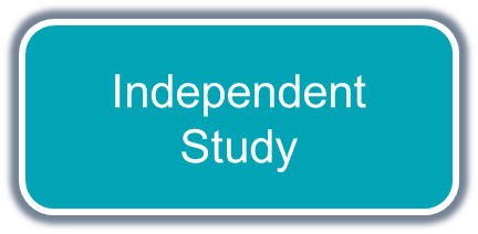 Independent Study